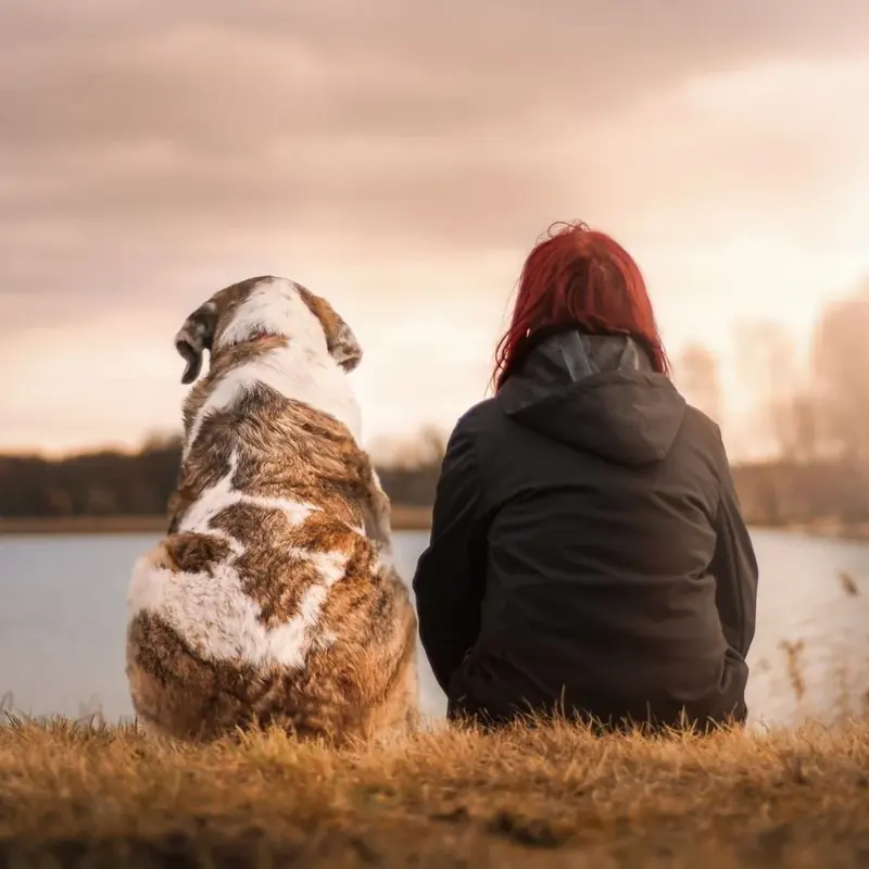 Mensch und Hund beim Gruppentraining