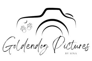Logo Sina