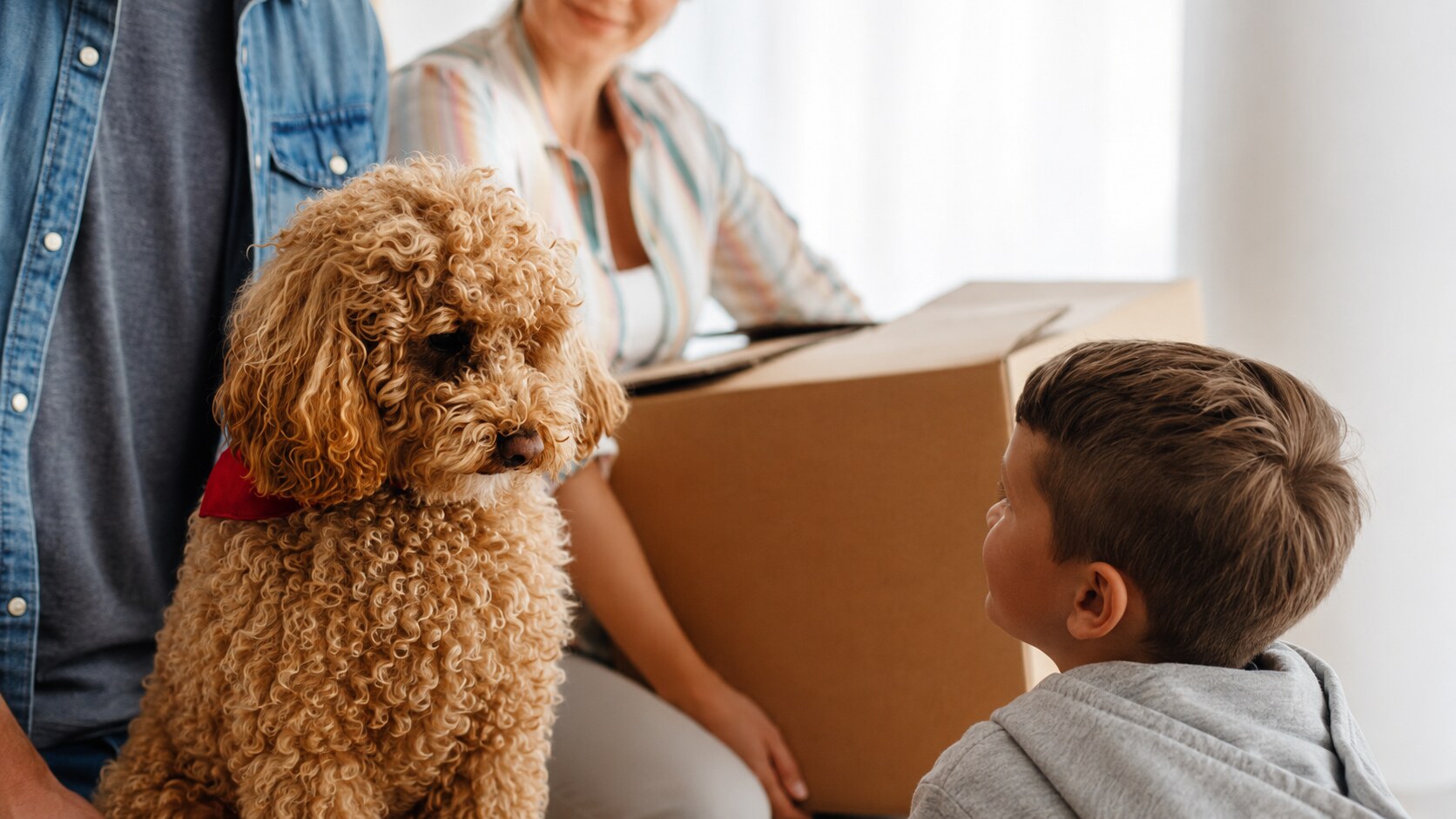 Hund als Symbol für den Hausbesuch