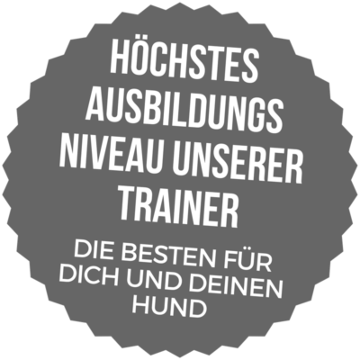 Logo Ausbildungsniveau