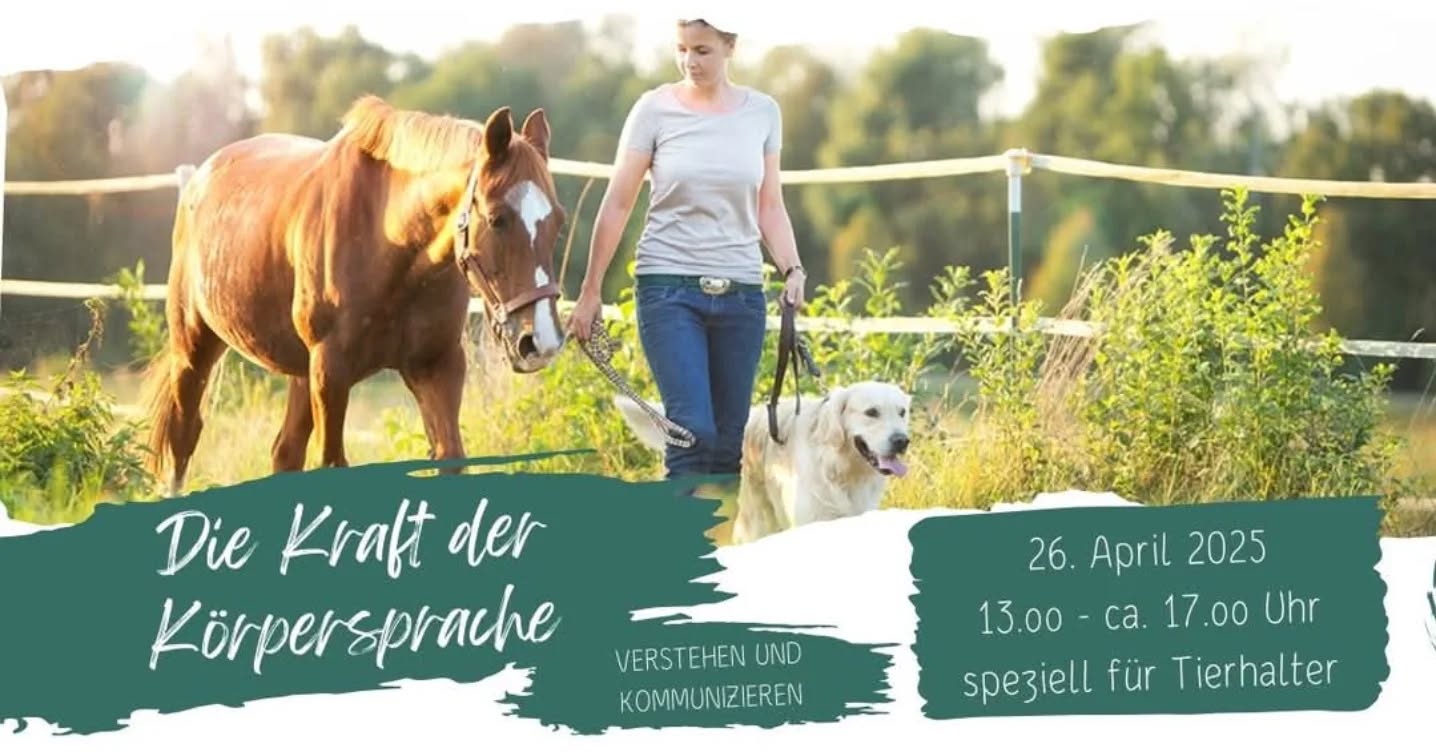 Morgen noch nichts vor?
Es sind wieder Plätze frei geworden!
Morgen findet der Workshop "Die Kraft der Körpersprache" statt! Du wolltest schon immer mal wissen, wie sich deine Körpersprache bei Tieren auswirkt? Schon immer mal mit Pferd und Hund trainieren?
Dann bist du hier genau richtig!
Hier gehts zur Anmeldung: https://form.jotform.com/250855413497363
.
.
.
#hundeschule #hundeschulebayrischerwald #hundeschuleascha #huschu #huschubaywa #hsbw #hundezentrum #hundezentrumbayerischerwald #angebot #whatsapp #telegramm #kanal #channel #neuigkeiten #news #Termine #uptodate #abmelden #Update #aktuelles